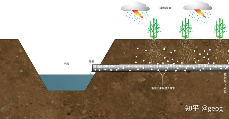 高考 微专题 01透析土地盐碱化 - 知乎