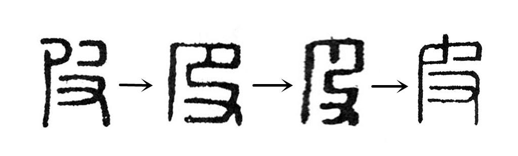 皮:汉字的起源与演变(小学一年级语文生字 第56集)