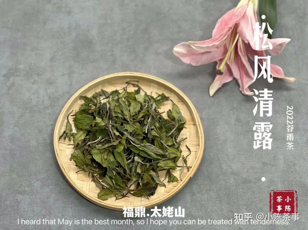 如何正確喝穀雨茶