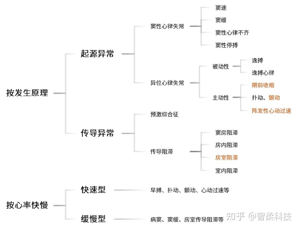 心律失常及其分类