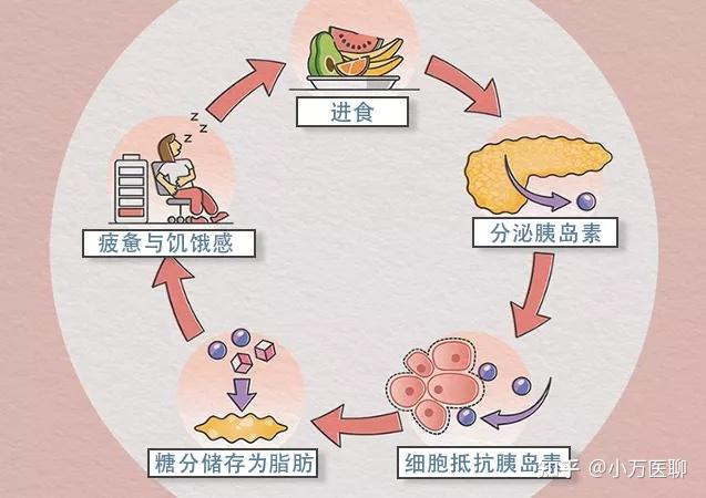 尽早干预胰岛素抵抗预防糖尿病