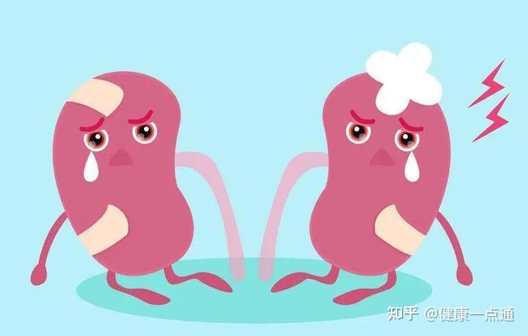 肾虚的表现症状有哪些?怎么调理?这几种方法不要错过! - 知乎