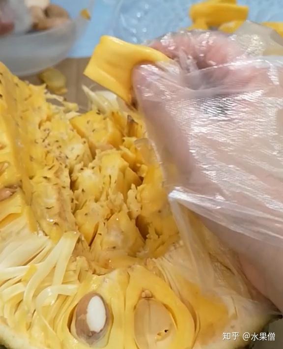 菠萝蜜的正确剥法 zhuanlan.zhihu.com