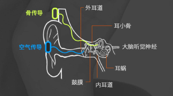 自己听自己说话的声音，和别人听到的竟然不一样？ - 知乎