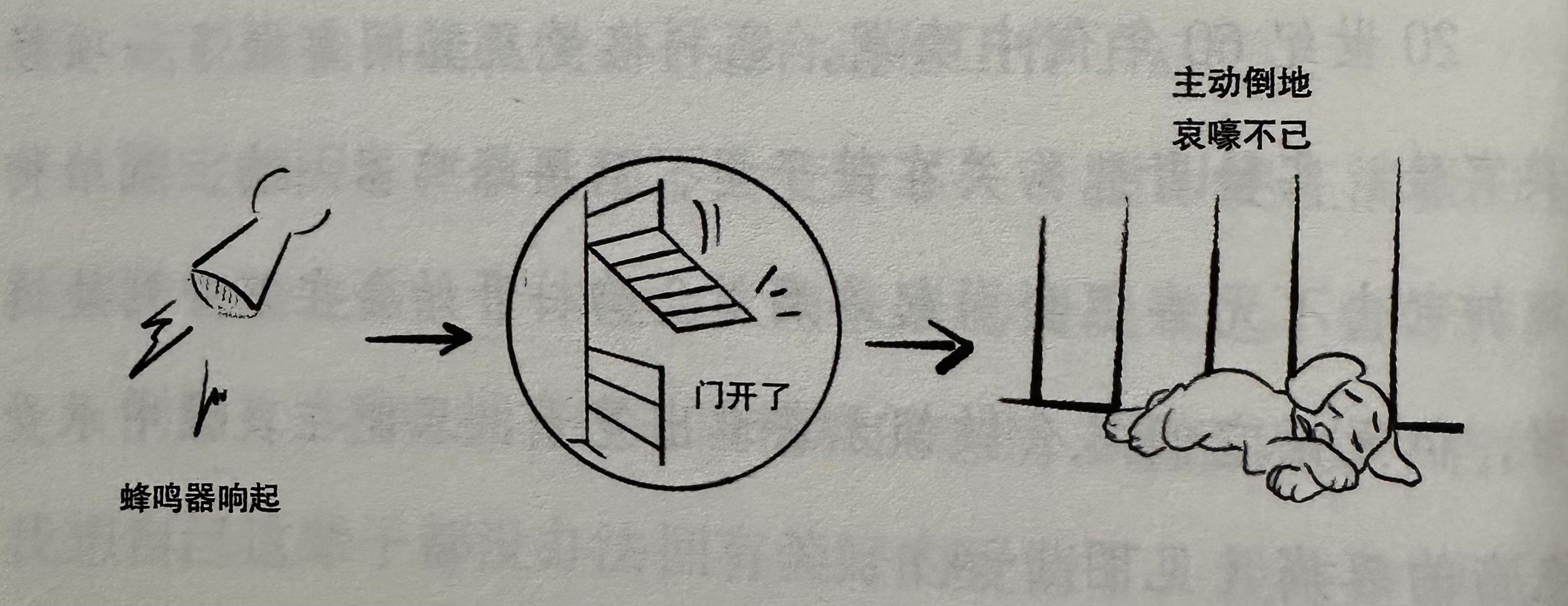 有关狗的实验告诉我们什么叫“习得性无助” - 知乎