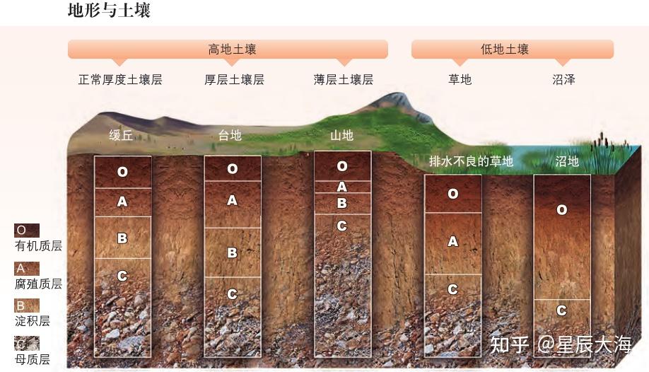 土壤教学经典用图30张! - 知乎