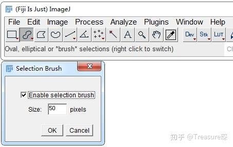 Imagej Tools ImageJ实用技巧——脑片分层灰度值统计(定量分析篇) - 知乎