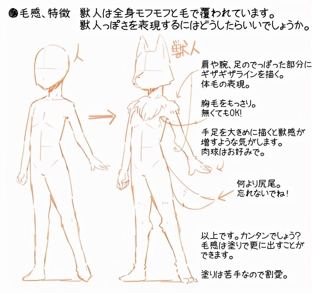 初学者怎么画兽设?教你画兽人与画人类的画法差异