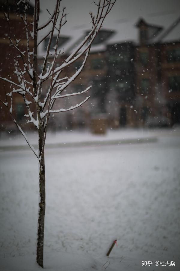 有没有人拍下了鹅毛大雪的照片?