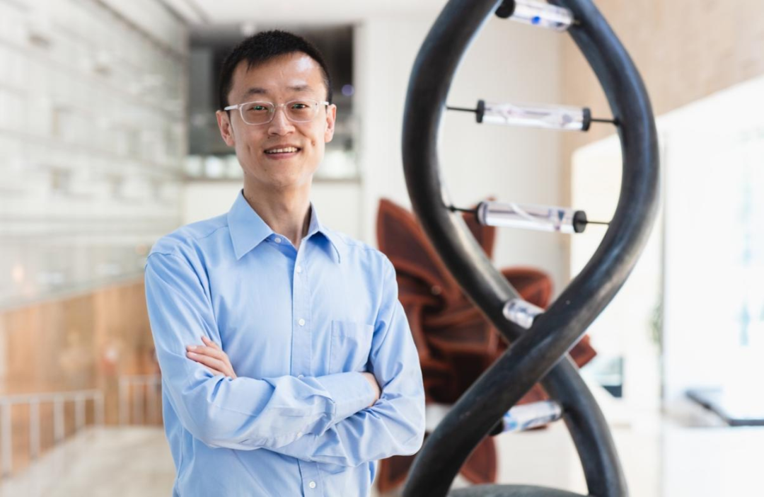 蛋白质设计领域的ChatGPT,科学家提出计算生物新方法,有望缩短药物研发周期 - 知乎