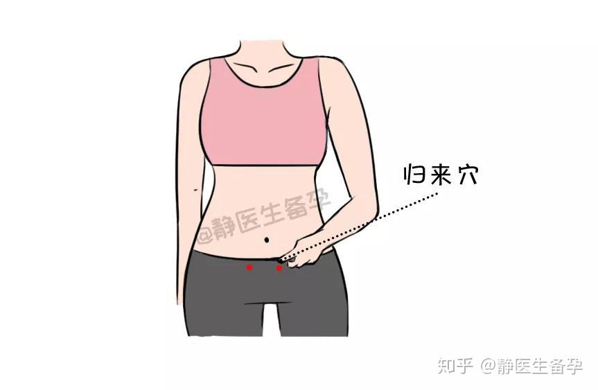 归来穴3~ 5分钟,长期按摩,可改善疝气,月经不调,痛经,子宫内膜炎等