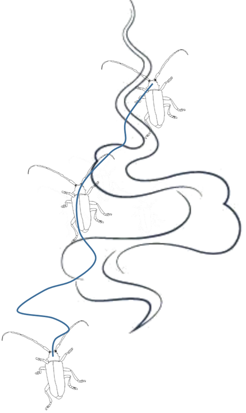 lishuai8:  基本情况 天牛须搜索(beetle antennae search- bas),也叫