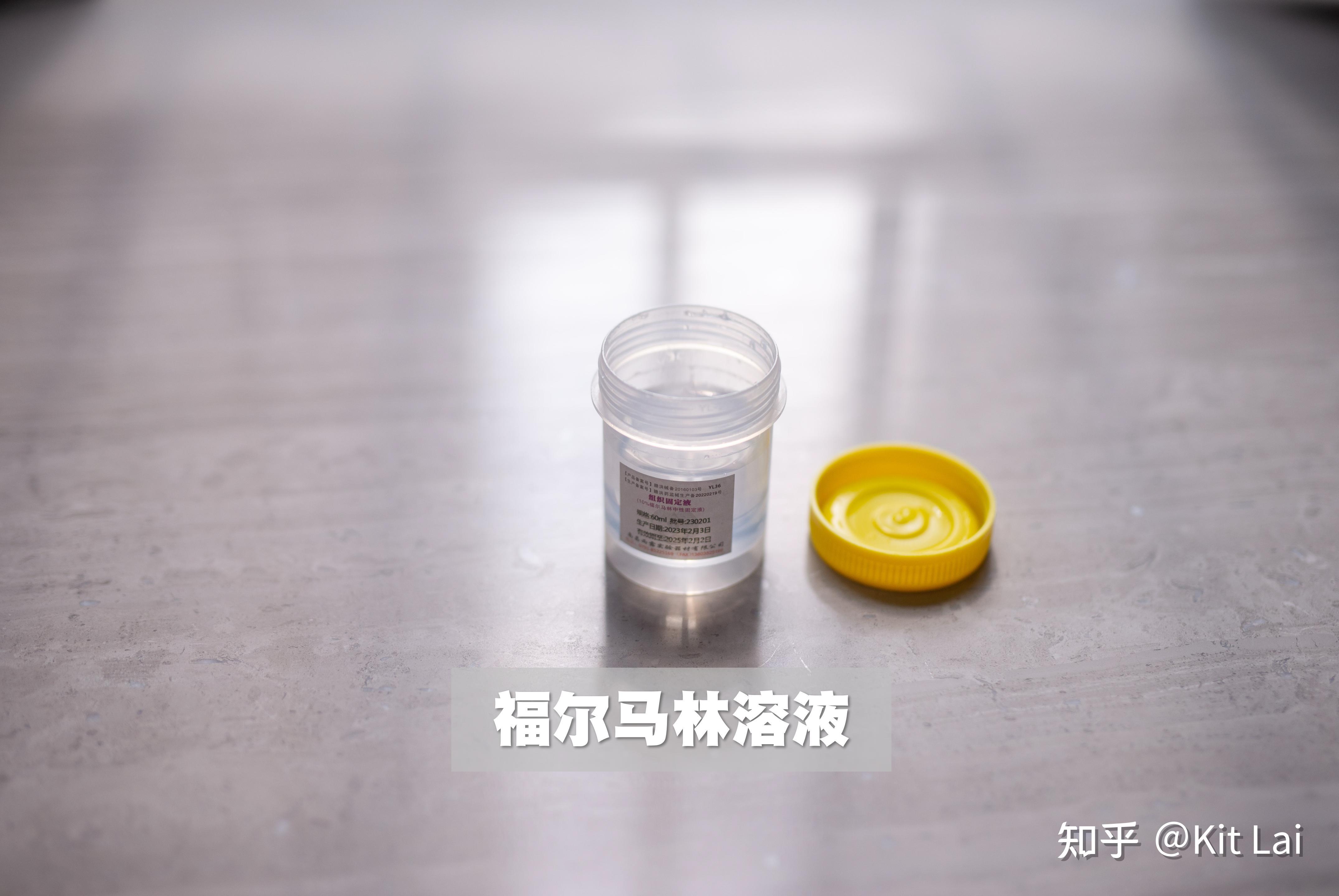 v2-bceb016033080cebb481e40259cd3101_r.jpg