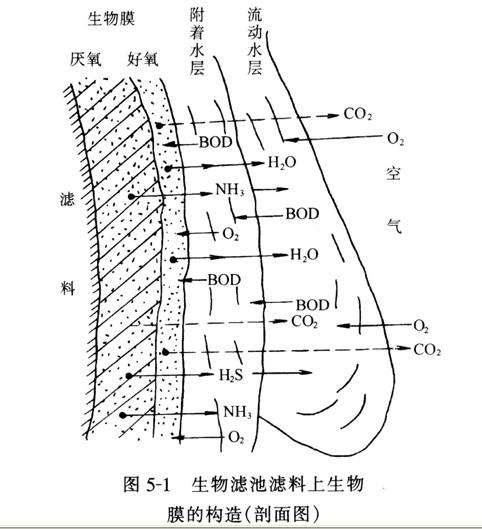 活性污泥法与生物膜法两种核心技术分析