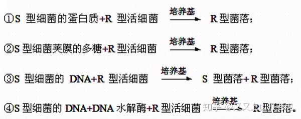 例2:如证明dna是遗传物质的肺炎双球菌体外转化实验中,设置以下几组