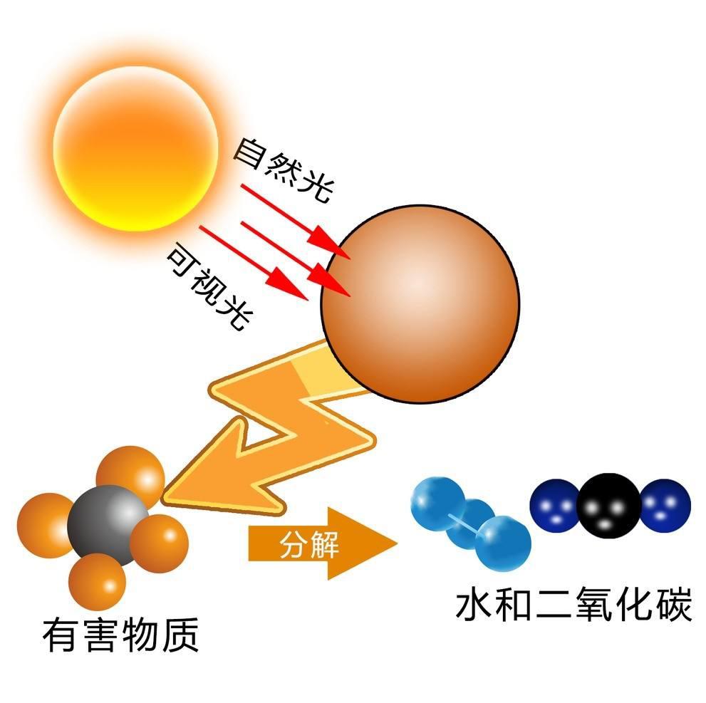 v2-bcf0c784ebdfe35efddb6d762210576d_1440w.jpg