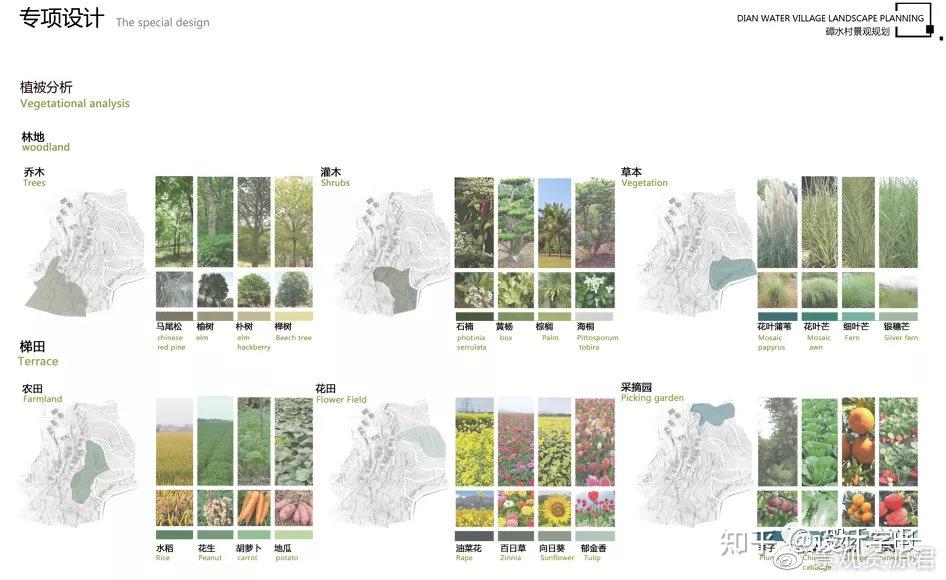 2021毕设配套素材10丨植物分析psd大汇总 - 知乎