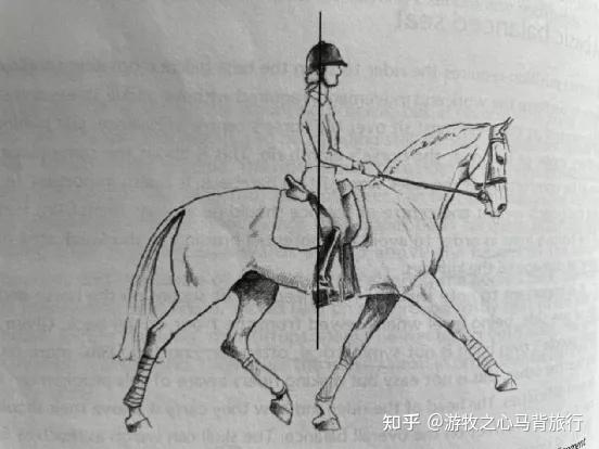 野外骑乘技术系列-眼花缭乱的骑姿 - 知乎