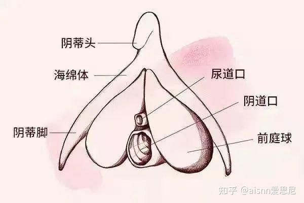 方法1:用手指放到yin道口向上滑