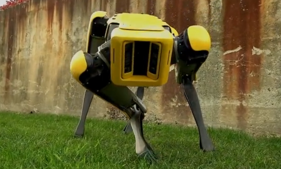 且支持购买的四足机器人是杭州宇树科技(ceo王兴)的莱卡狗(laikago)