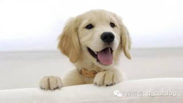 v2-bd207a12ac7fdf6edb841483357d726e_1440w.jpg?source=172ae18b