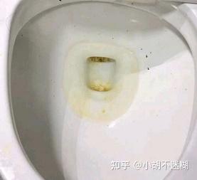 有哪些价格不贵 又真的实用的家居神器 知乎