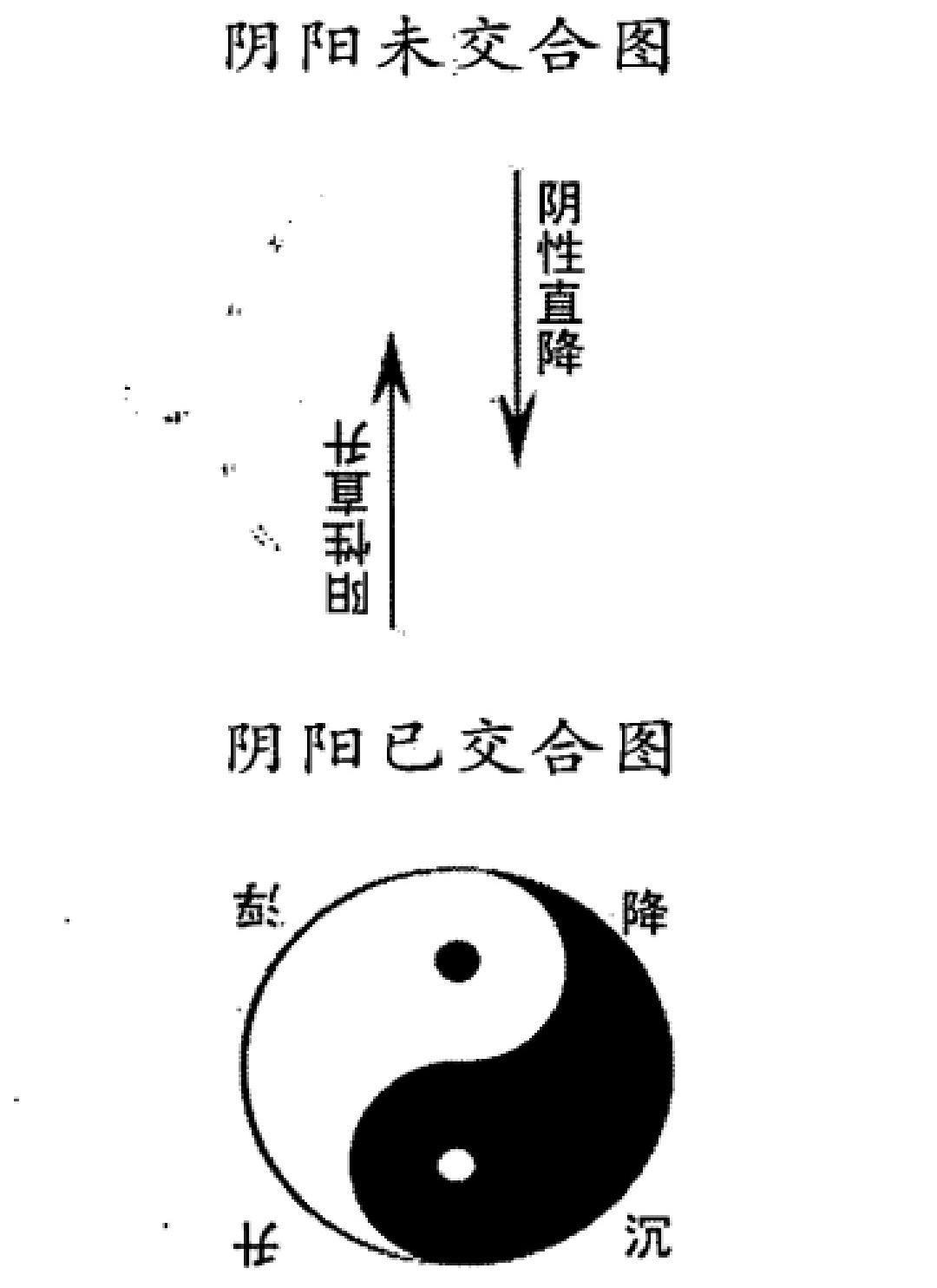 圓運動的古中醫學拆書版陰陽