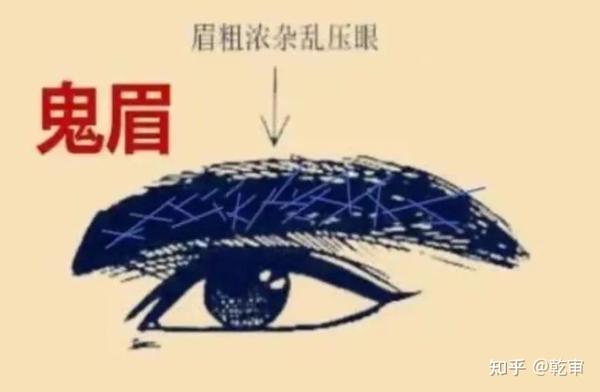 “鬼眉”的面像特征 - 知乎