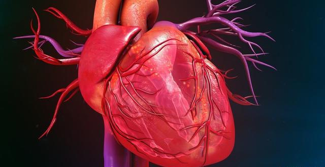 体检经常发现三尖瓣二尖瓣有倒流是严重的心脏病吗还能活多久