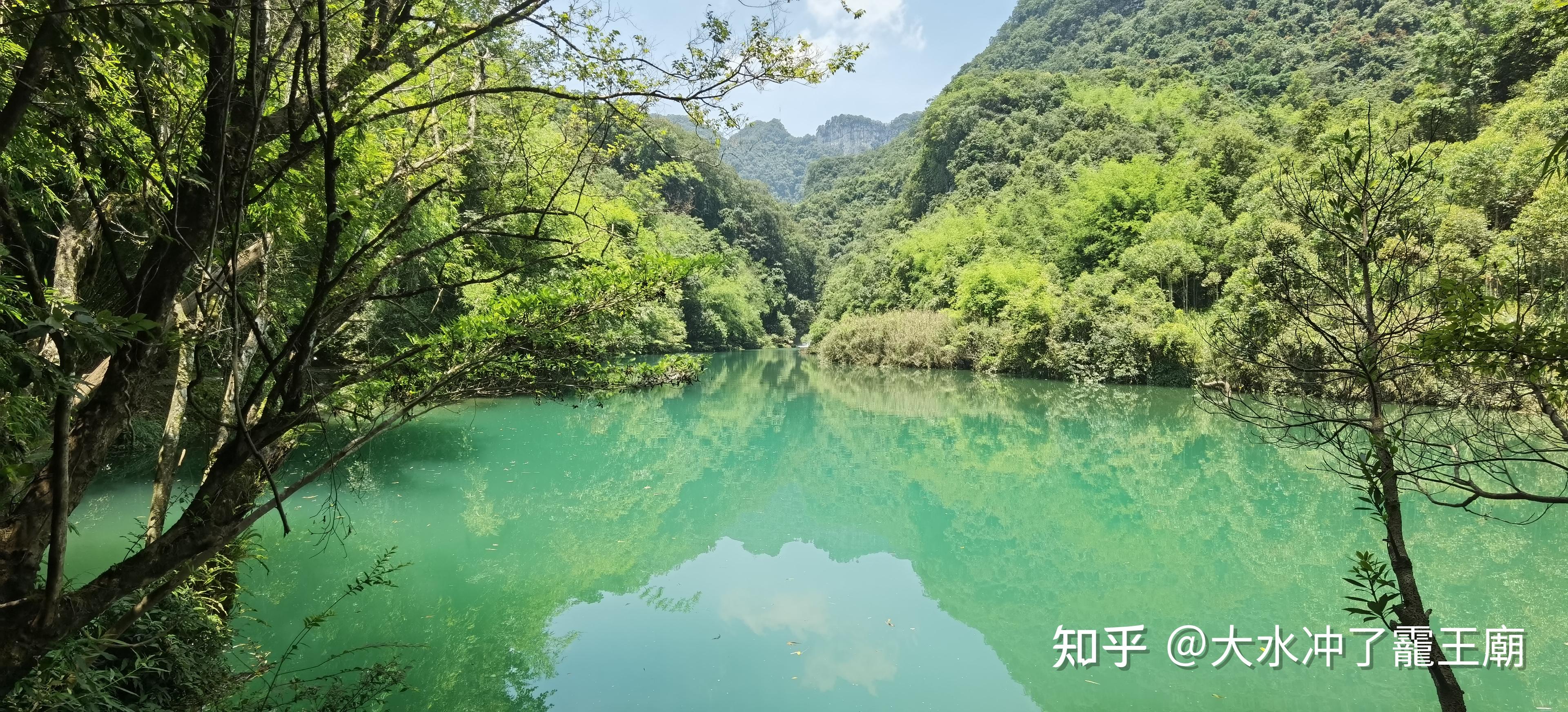 贵州荔波茂兰，一个颜值超高却又非常小众的景区！ - 知乎