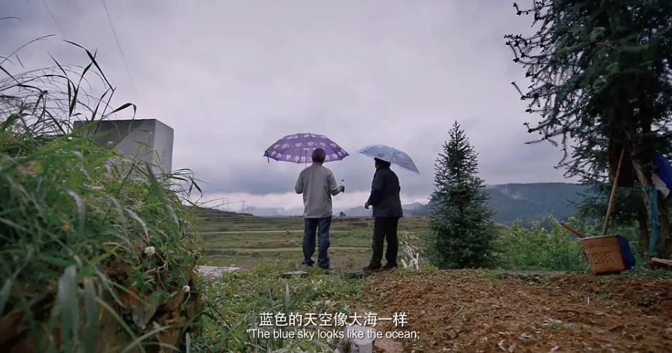 为什么预制菜是我们粗糙生活的隐喻