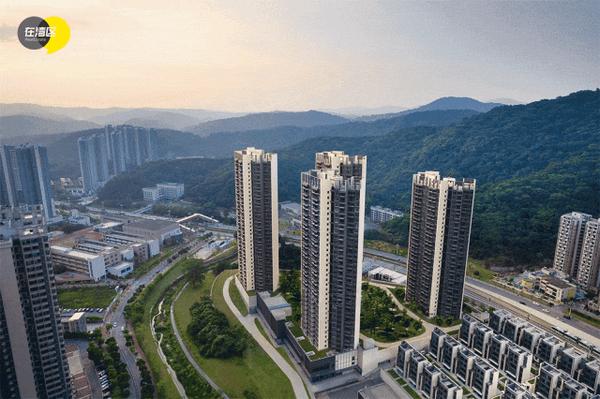 黄埔2种交标,一种叫天健天玺,一种叫其它! - 知乎