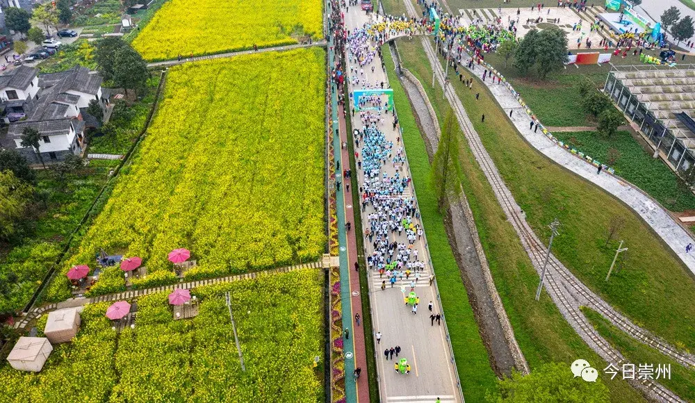 崇州的春天最成都2021第九届四川崇州自驾赏花节开幕