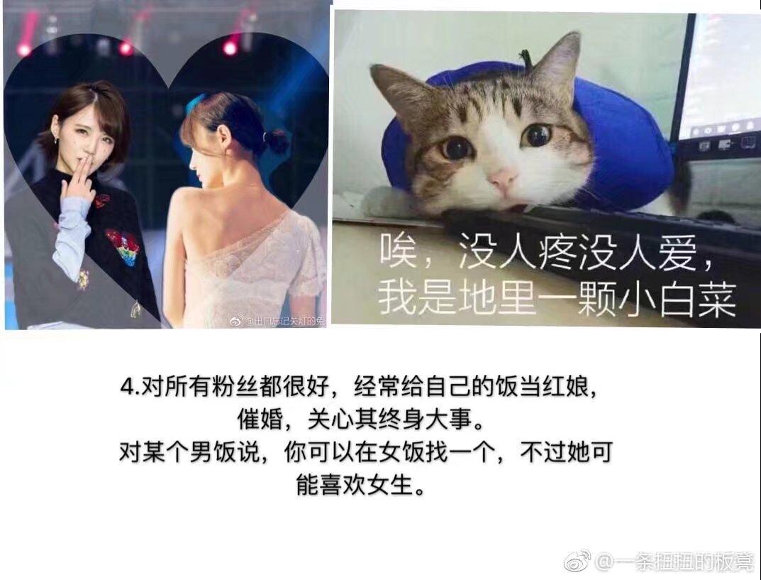 v2-bd8ddc6ddef5ff26ae3ad03ab2db57a3_r.jpg