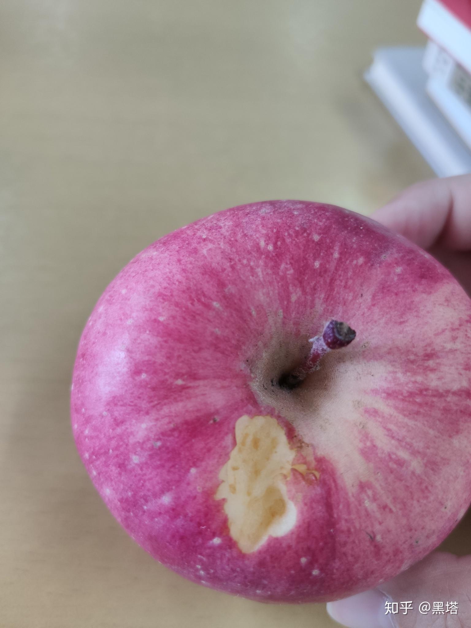 苹果上这个洞是被老鼠啃出来的吗