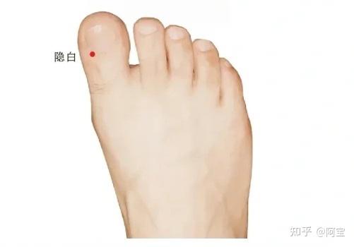 隐白～大脚趾的神奇潜能 - 知乎