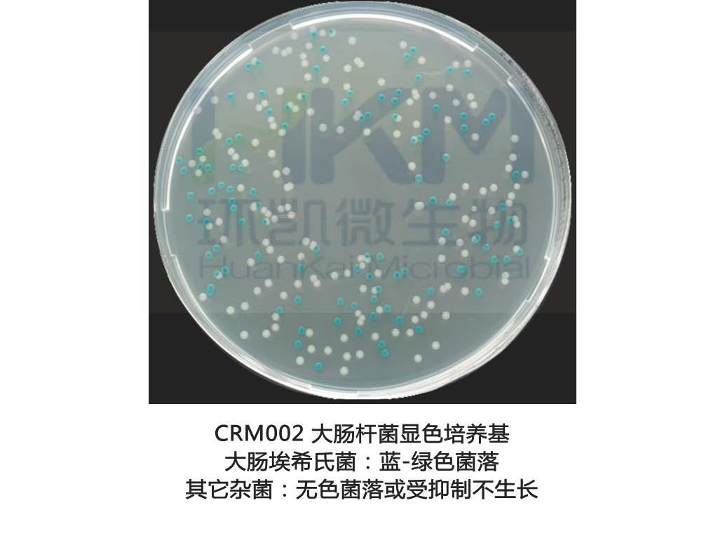大肠杆菌和金葡菌在各培养基的菌落形态