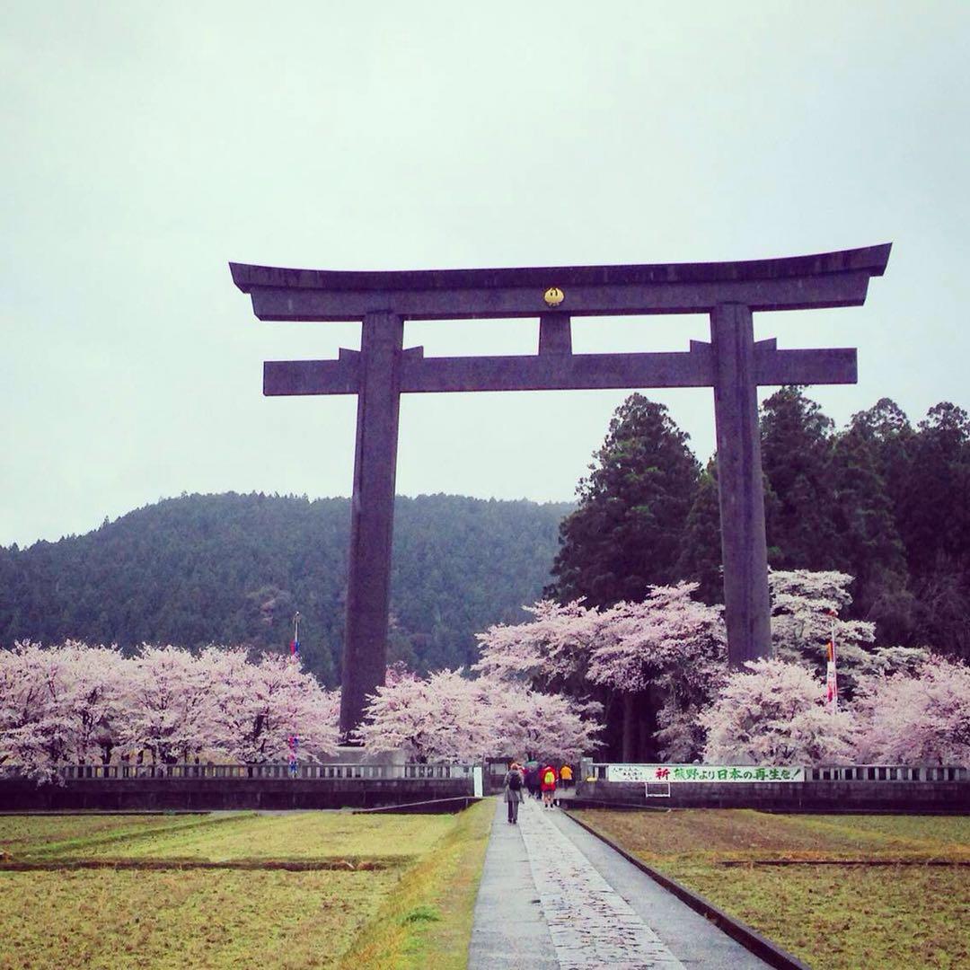 想去日本深度旅游,有哪些冷门的地方景点一定