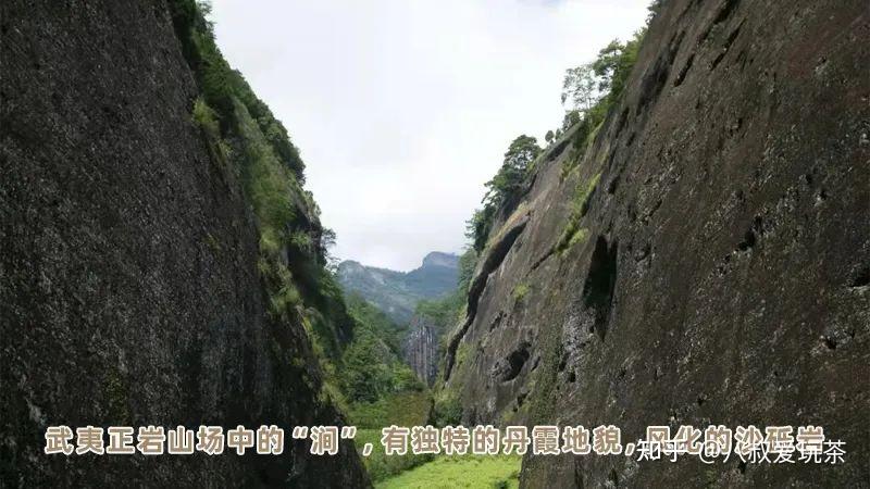 武夷岩茶山场特点三坑两涧两窠一洞36峰72洞99岩