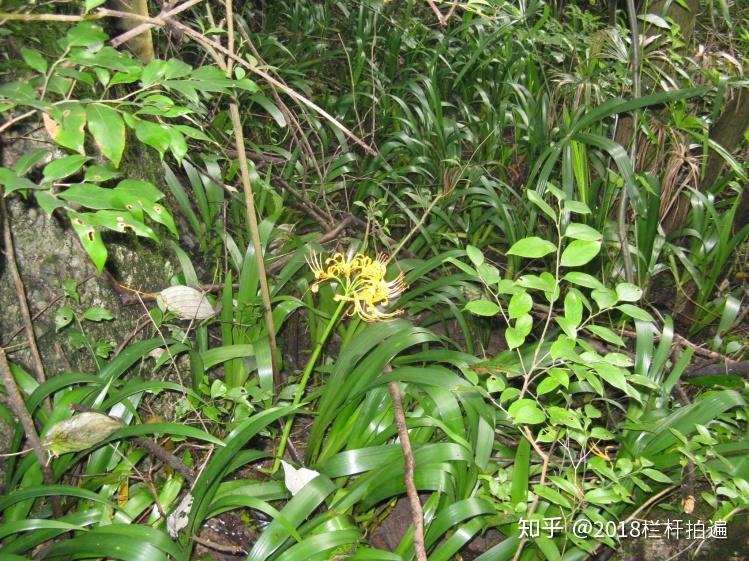 电视剧《西游记》外景地:安县-罗浮山 (上)
