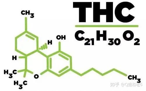 天然纤维之王——汉麻 - 知乎