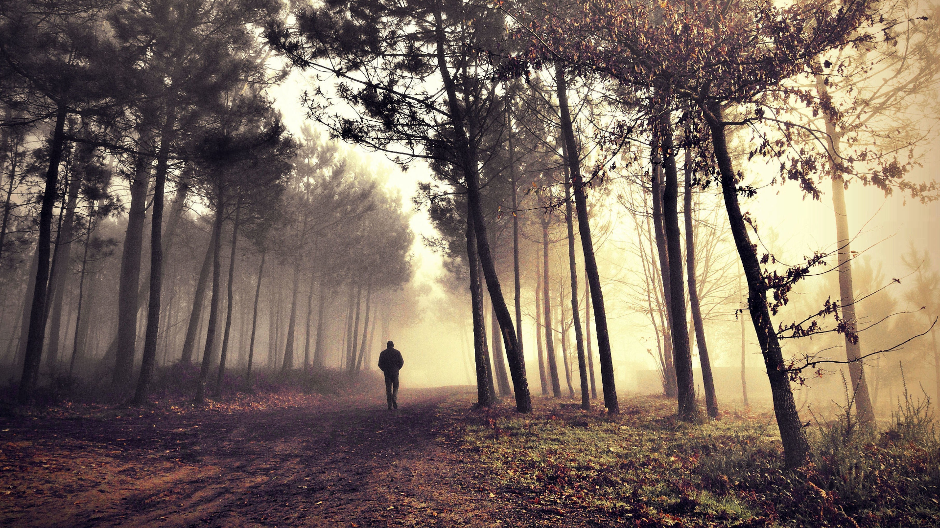 能给我分享一些孤独的图片吗
