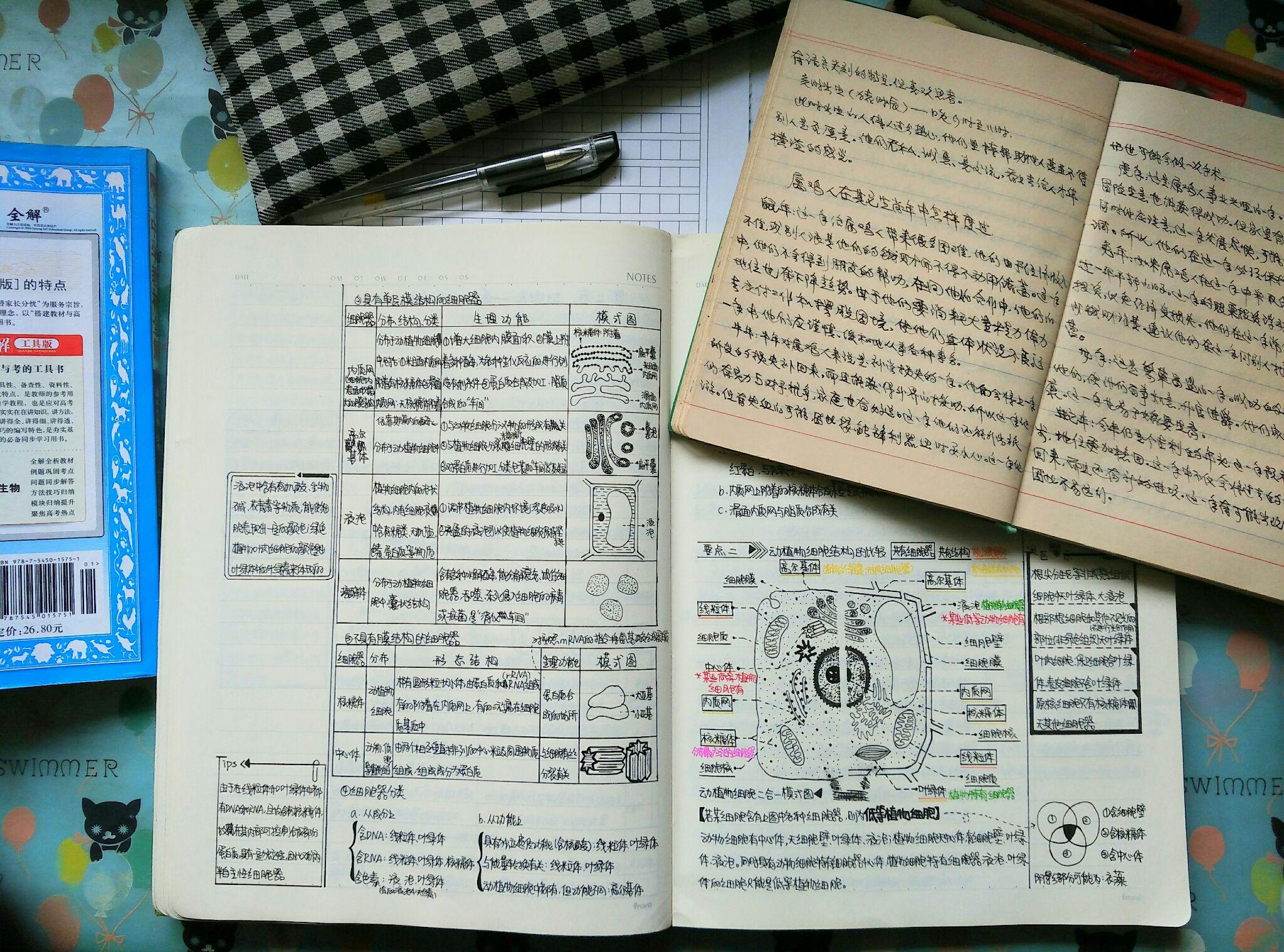 如何对手写笔记进行漂亮的排版