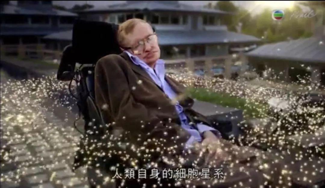 遗憾霍金去世了未能等到干细胞的破冻之日