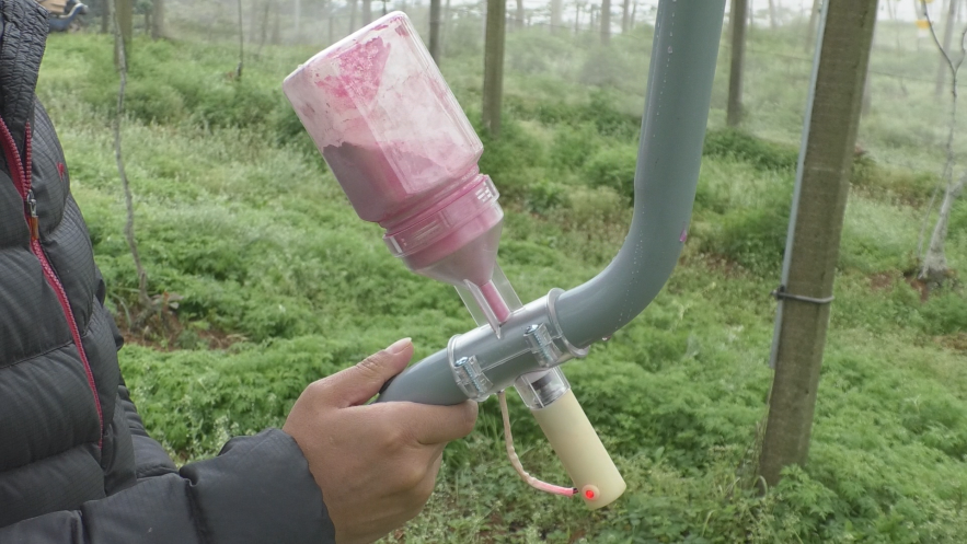 赤壁神山兴农花粉授粉器助力猕猴桃提质增效