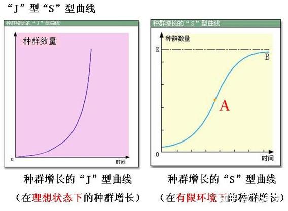 生物学s形曲线与logistic equation