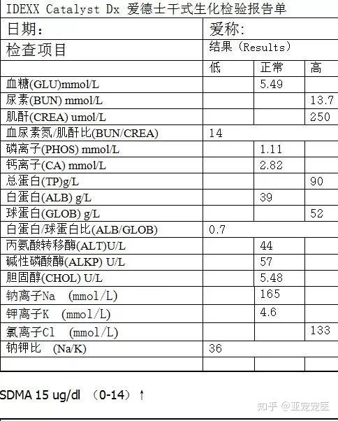 肾图检查费用图片