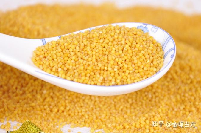 补骨日用量多少克 v2-be15abf947c153832aaf486b05de86cd_r.jpg