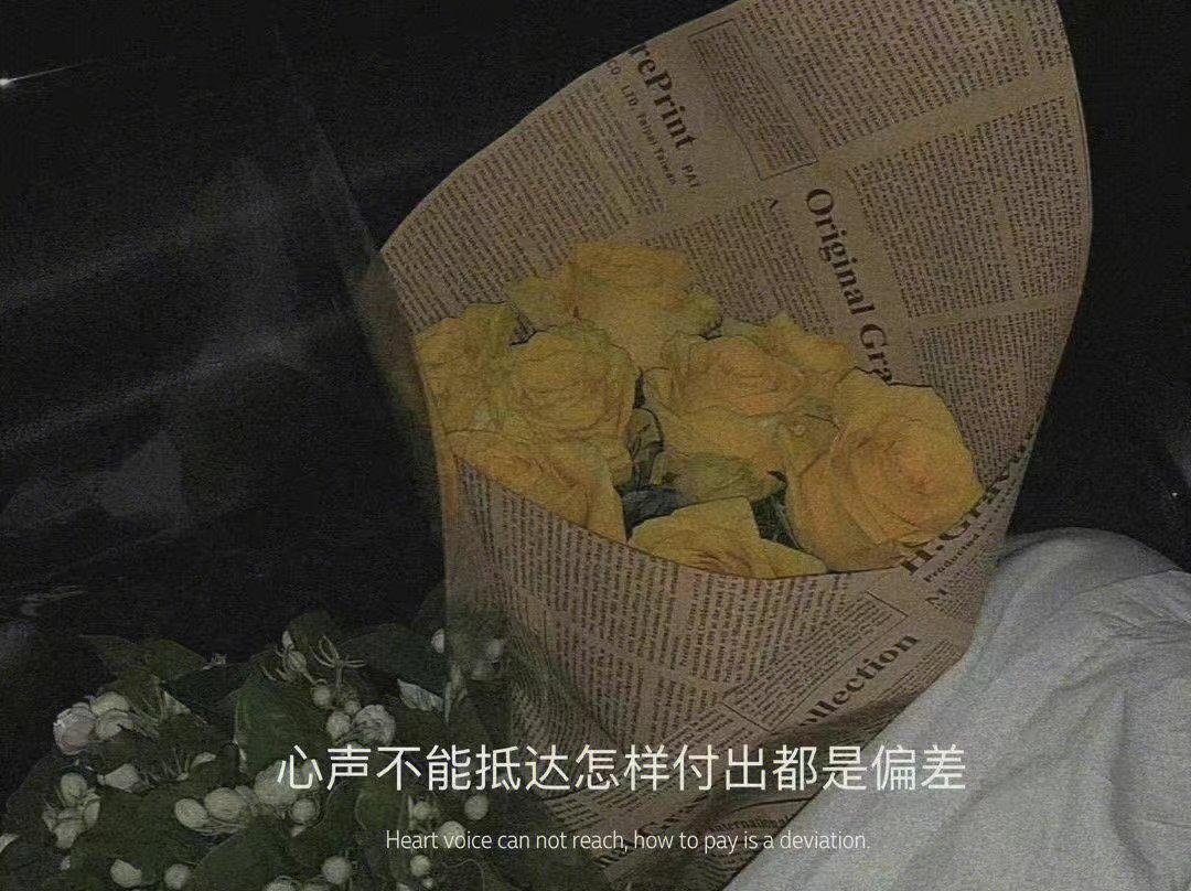 那些错过的遗憾句子 - 知乎