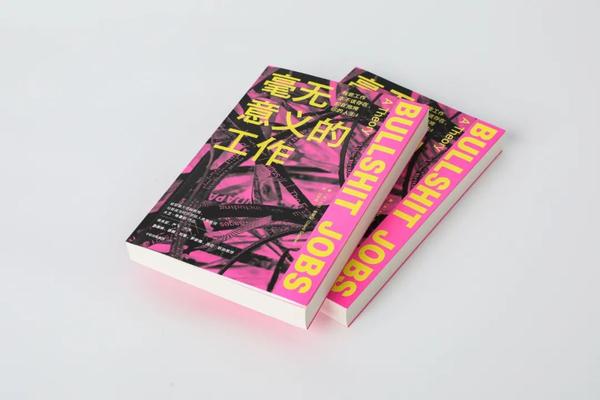 无痛打造职业型网站：适用于所有行业和大小企业的建站源码 (掌握无痛注射技术)